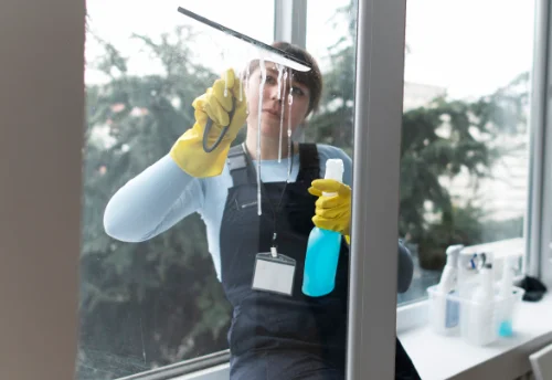 Nettoyage de vitres intérieures et extérieures à Boulon